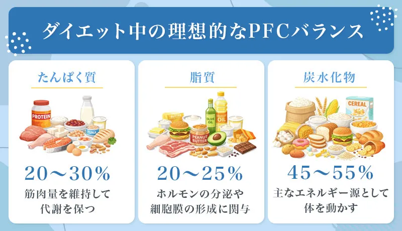 基礎代謝を維持するためのPFCバランスとは
