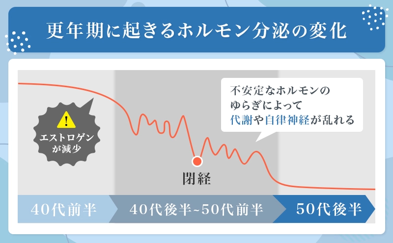 40代以降はエストロゲンの分泌が減少して代謝や自立神経が乱れる