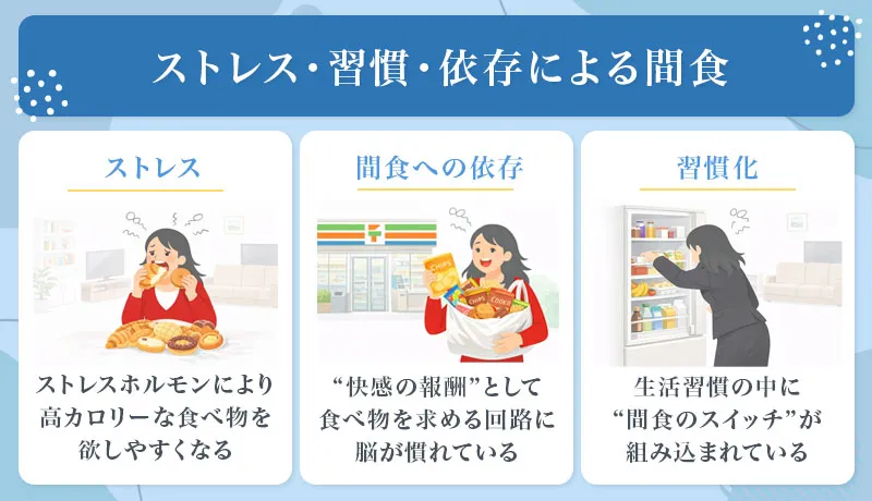 ストレス・習慣・依存による間食のメカニズム