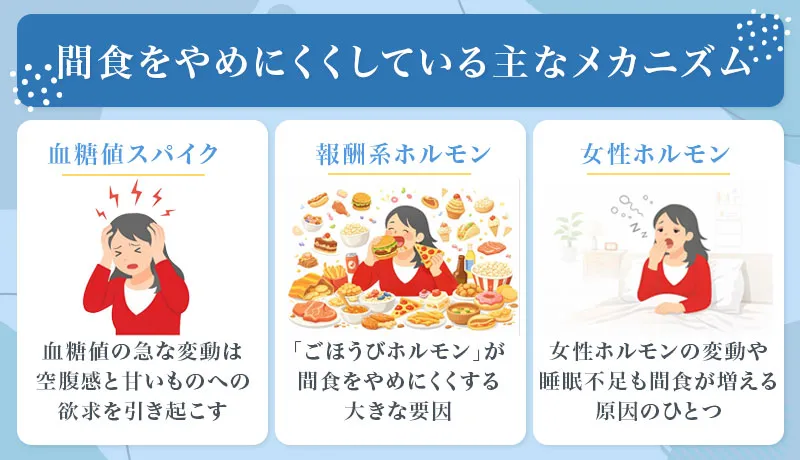 間食をやめられない原因は脳とホルモンの働きにある