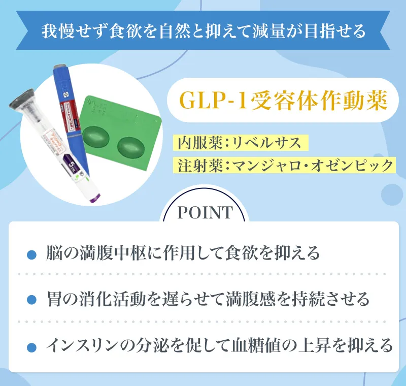GLP-1受容体作動薬の概要
