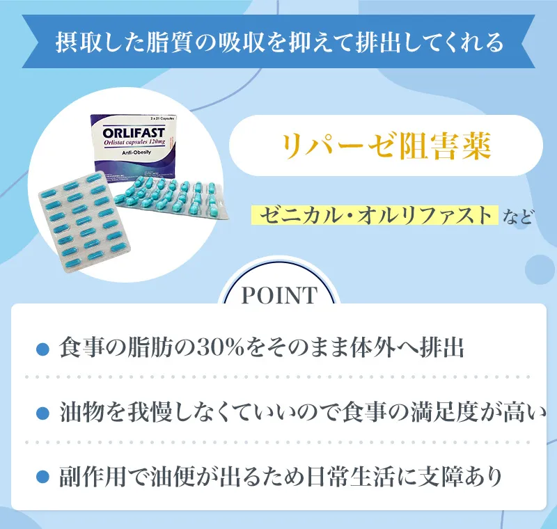 リパーゼ阻害薬の概要