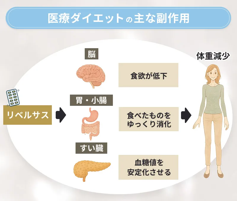 リベルサスのダイエット効果を解説
